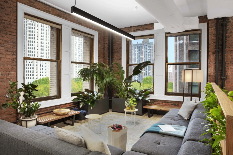 How Indoor Plants Enhance Your Living Space And Well Being